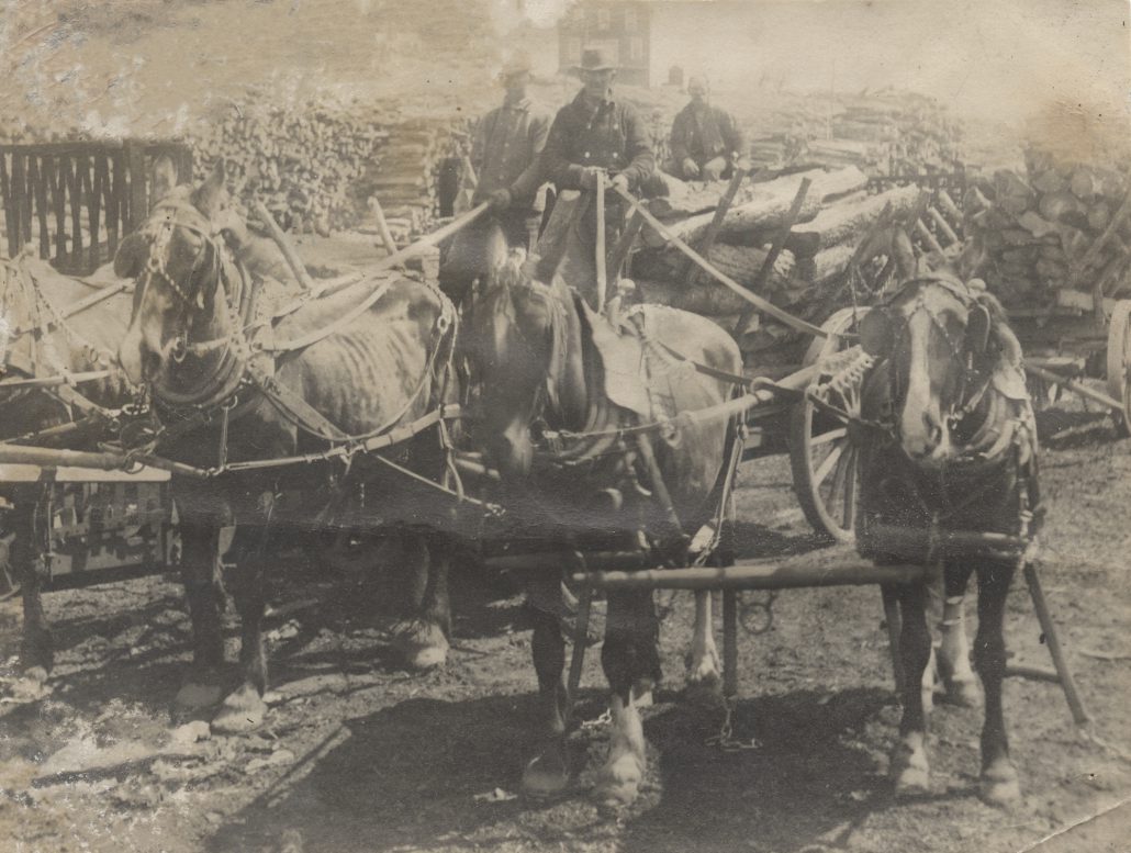 work horses cinder road thompsonville benzie county honor northern michigan history carter's siding carter's creek horse-drawn teams woodyard wood-fired kiln charcoal-making process cordwood lumber era pere marquette railroad lumbermen