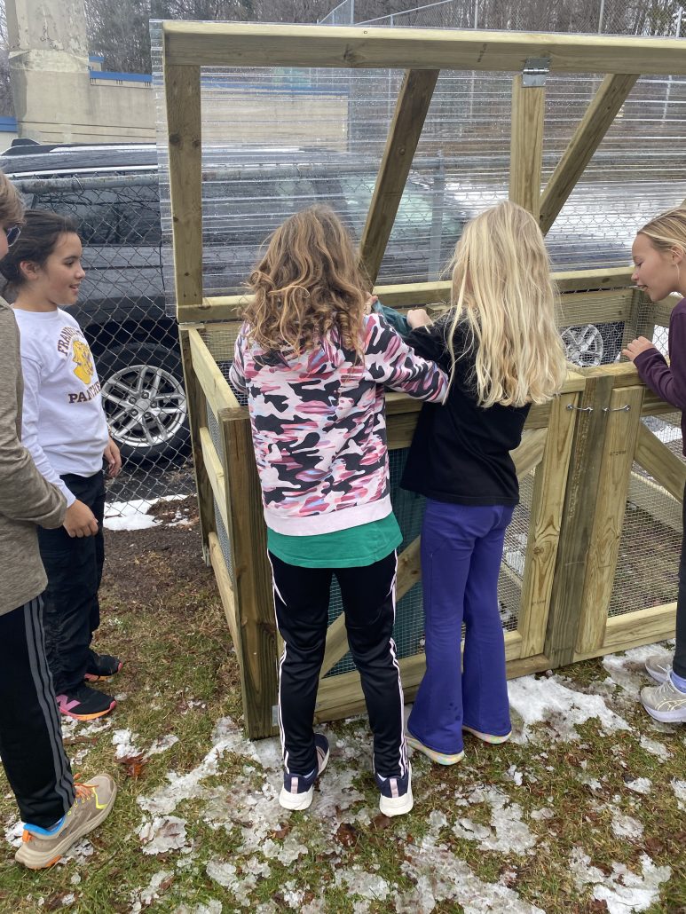 hands-on learning project-based Wonder Woman Power Half-Hour 5th grade Frankfort-Elberta Area Schools elementary build compost bin Michael Tarkington volunteer Title I ESEA funds