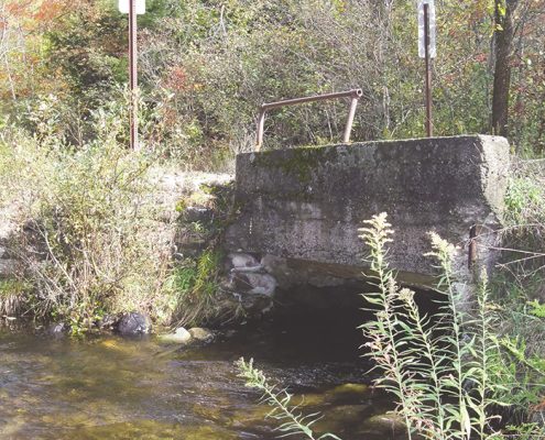 Nessen-Little-Betsie-(4)