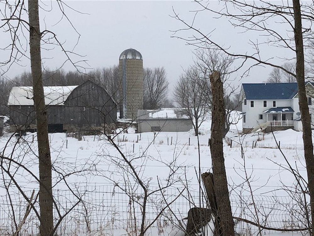 Rice Centennial Farm Randy Rice US-31 Mick Road Joyfield Township cattle farming Michigan centennial farm grass-fed beef Benzie County Michigan the betsie current newspaper