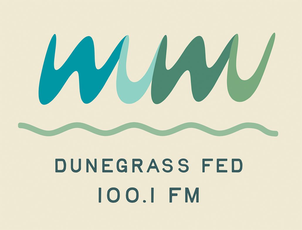 100.1 FM LPFM community radio station mary welcome design artist in residency elberta northern michigan benzie county the betsie current newspaper